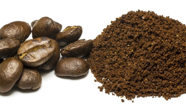 Coffee 031.jpg