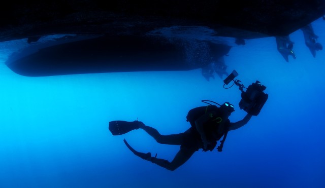 diver-85913.jpg