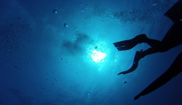 diving-786792.jpg