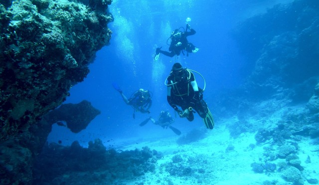 diving-813028.jpg