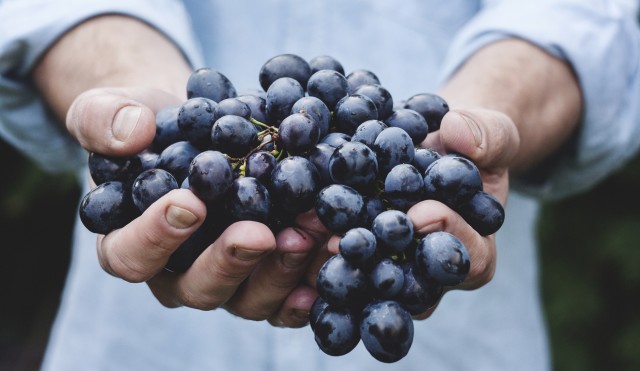 grapes-690230.jpg